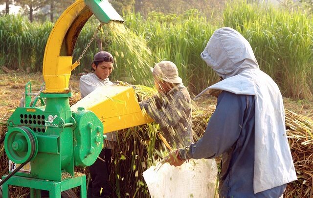 Skab den perfekte lektiezone – og halver din arbejdstid