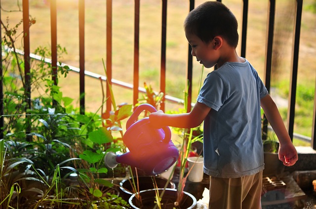Opgradér din have med smarte og bæredygtige plantesække