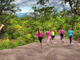 Top 9 Løbebælter til en Effektiv og Behagelig Træning